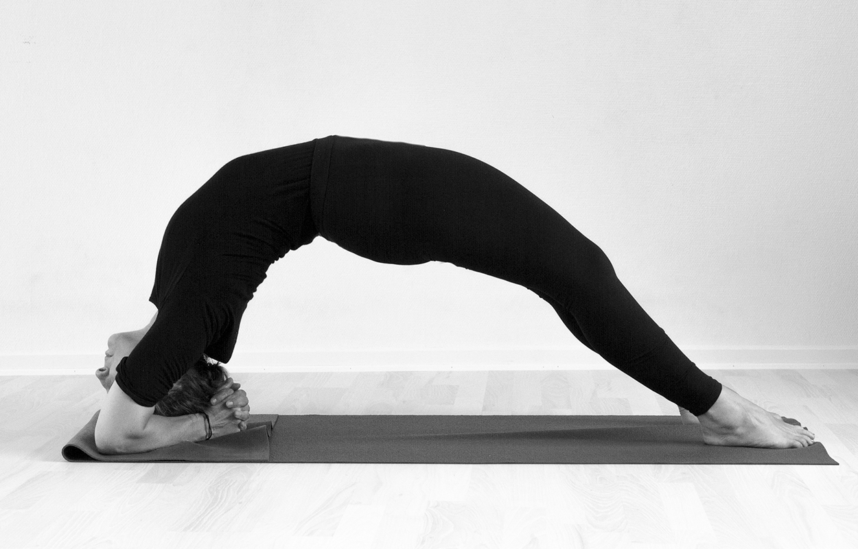 Ananda Yogaskolen