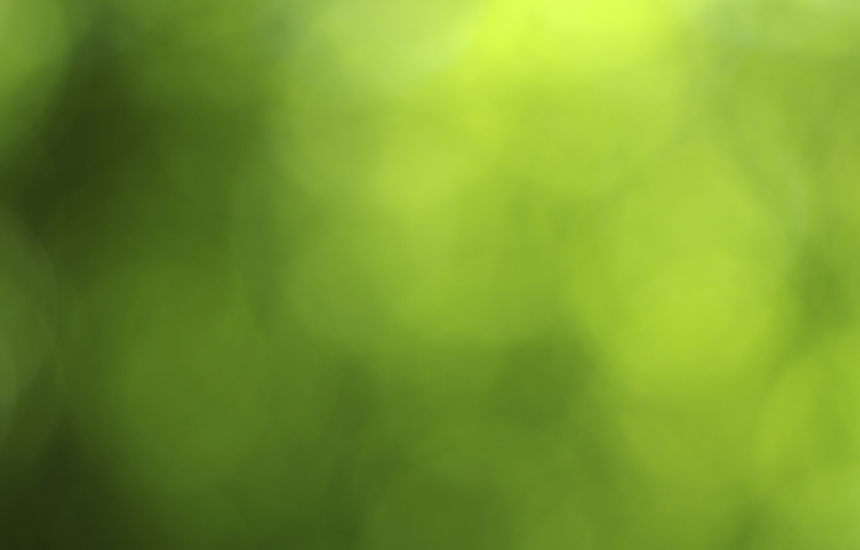 Baggrund Aftenskolen Magnum Opus 01