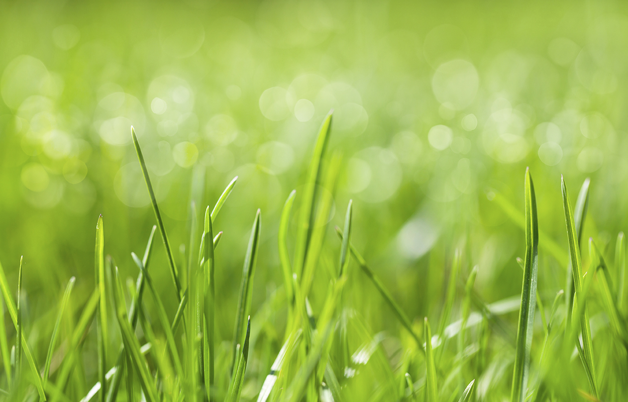 Baggrund Aftenskolen Magnum Opus 13